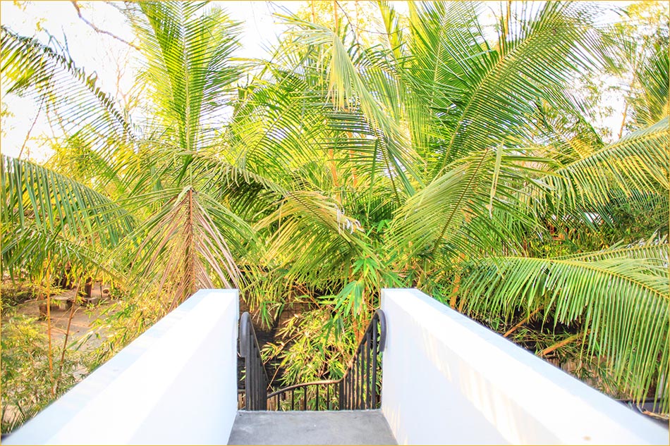 Steps leading to and from the private roof-top sunning deck.